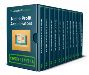 The Niche Profit Accelerators